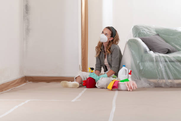 Reliable Commercial Mold Remediation contractor in Locust Valley, NY by WQB Mold Removal